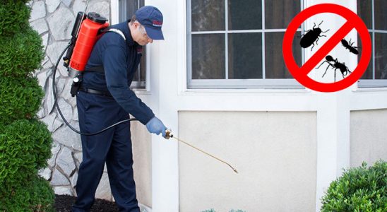 Gerze Bit İlaçlama böcek ilaçlama ve haşere kontrolü — ilaclama-tr.com